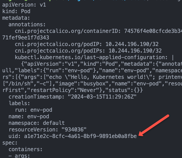 Kubernetes Object UUID