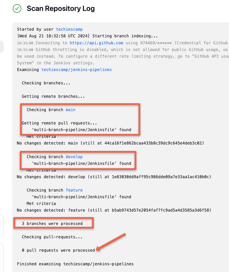 multibranch pipeline initial repository scan