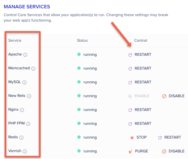 Managing system services from cloudways Dashbaord.