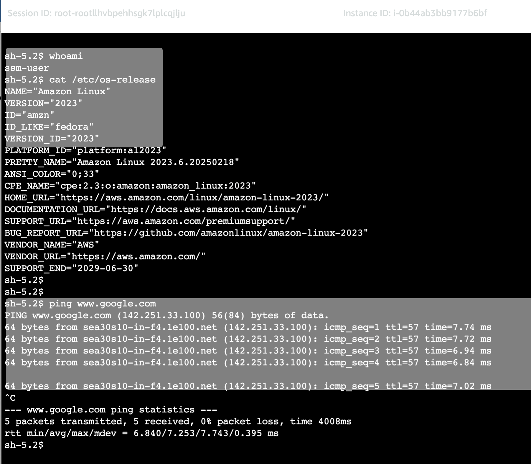 The access output of the ec2 instance via the systems manager