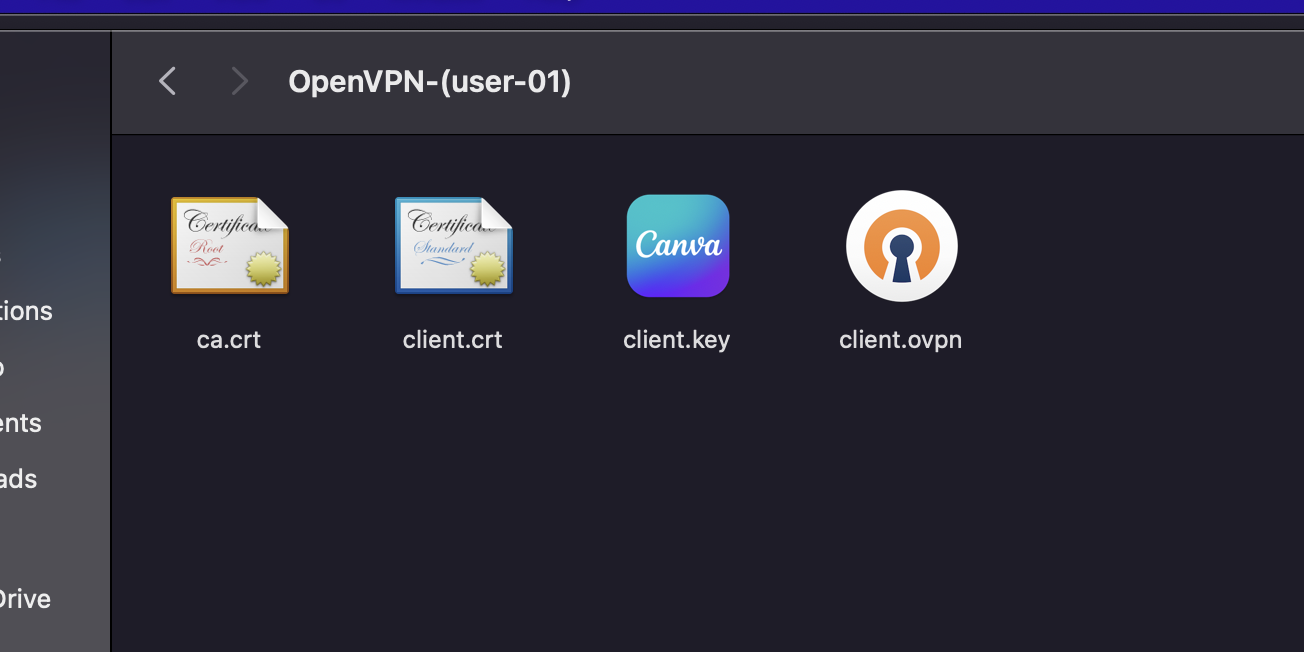 the openvpn client files such as ca, client certificate and key and copenvpn configuration file