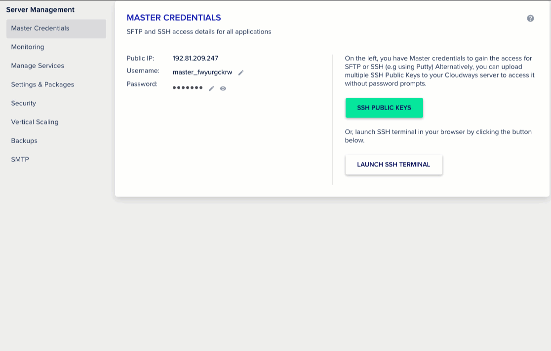 cloudways server monitoring