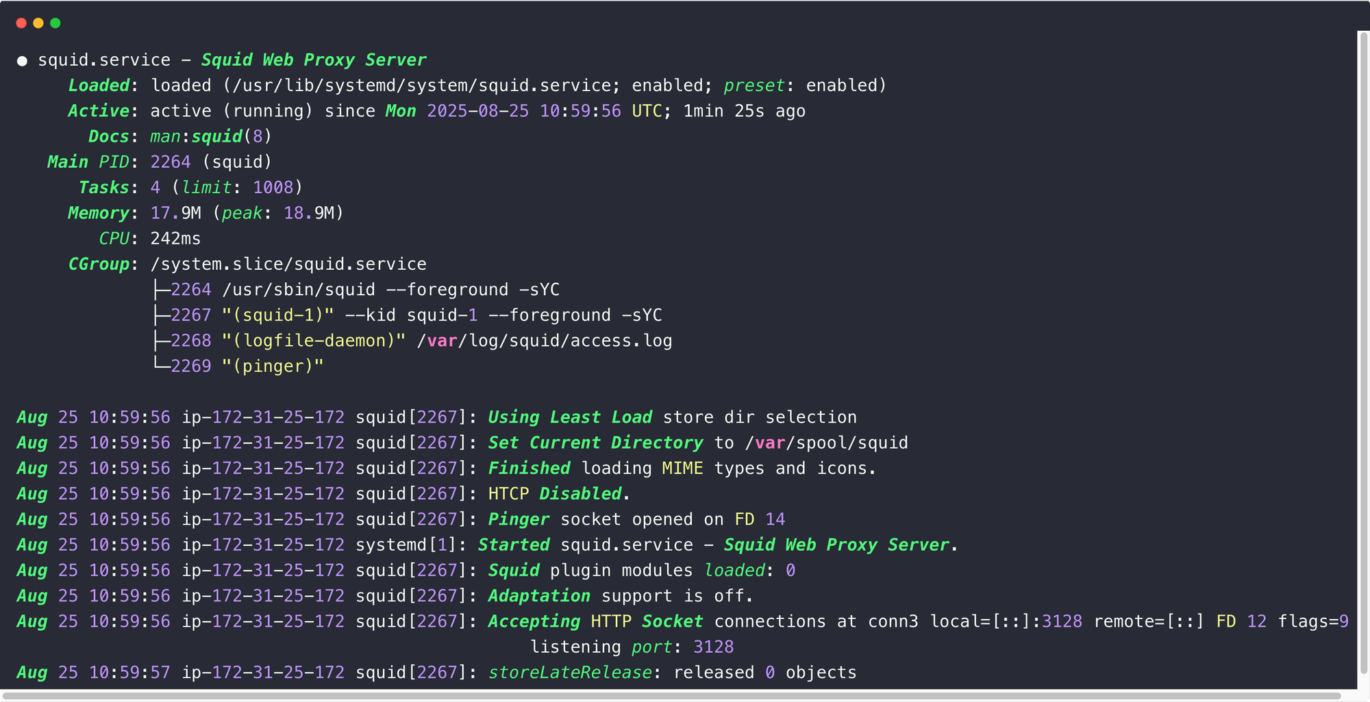 the status of the squid proxy server