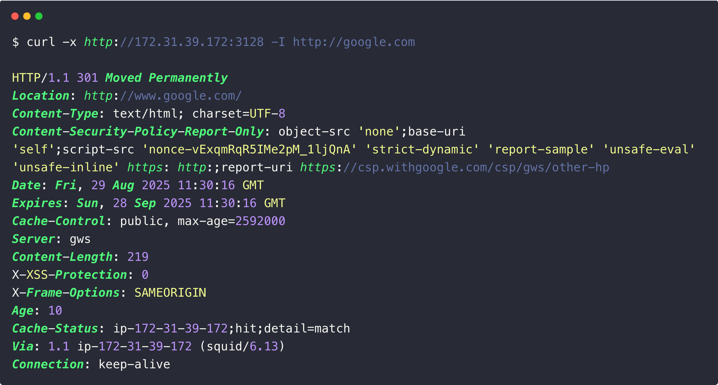 The output of accessing a website through the squid proxy