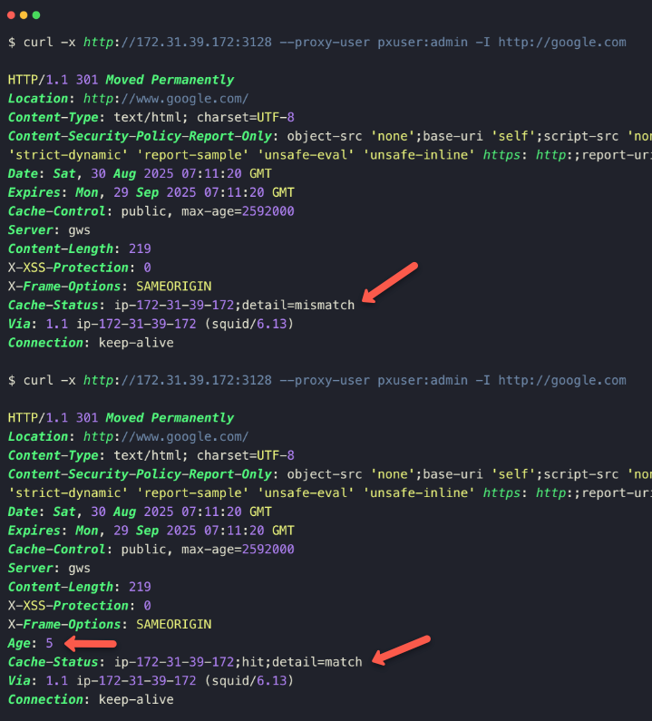 the website access through the squid to identity the cache store.