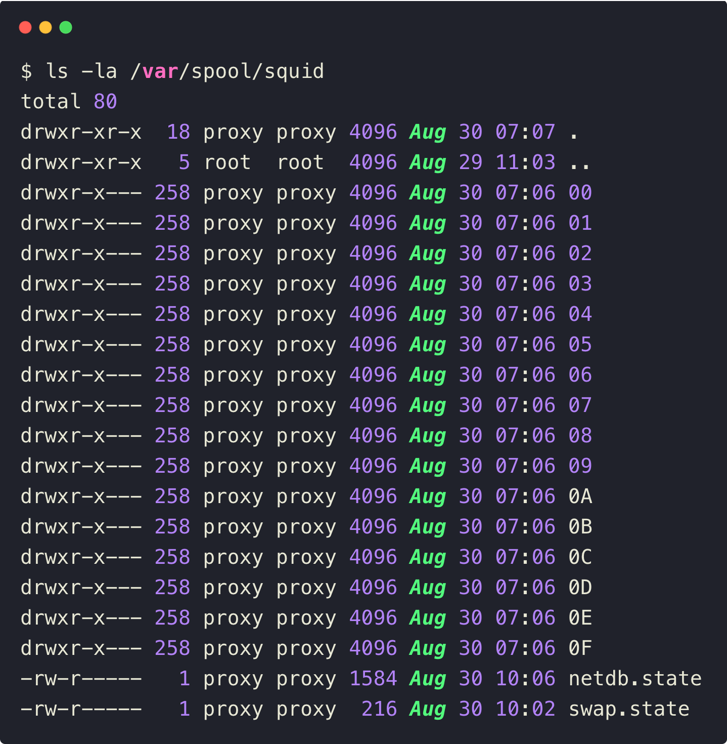 The output of the cache directories of the squid proxy