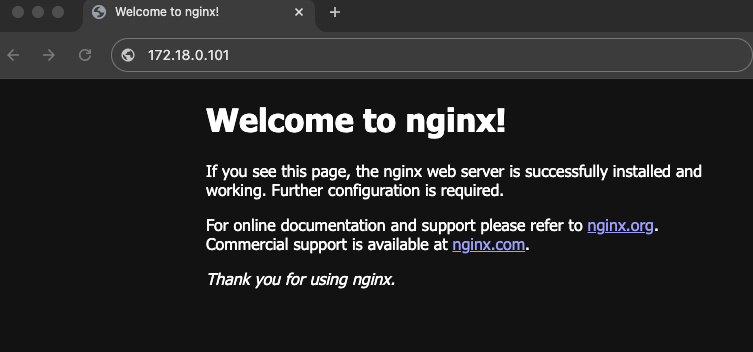 accessing the nginx web page on the browser