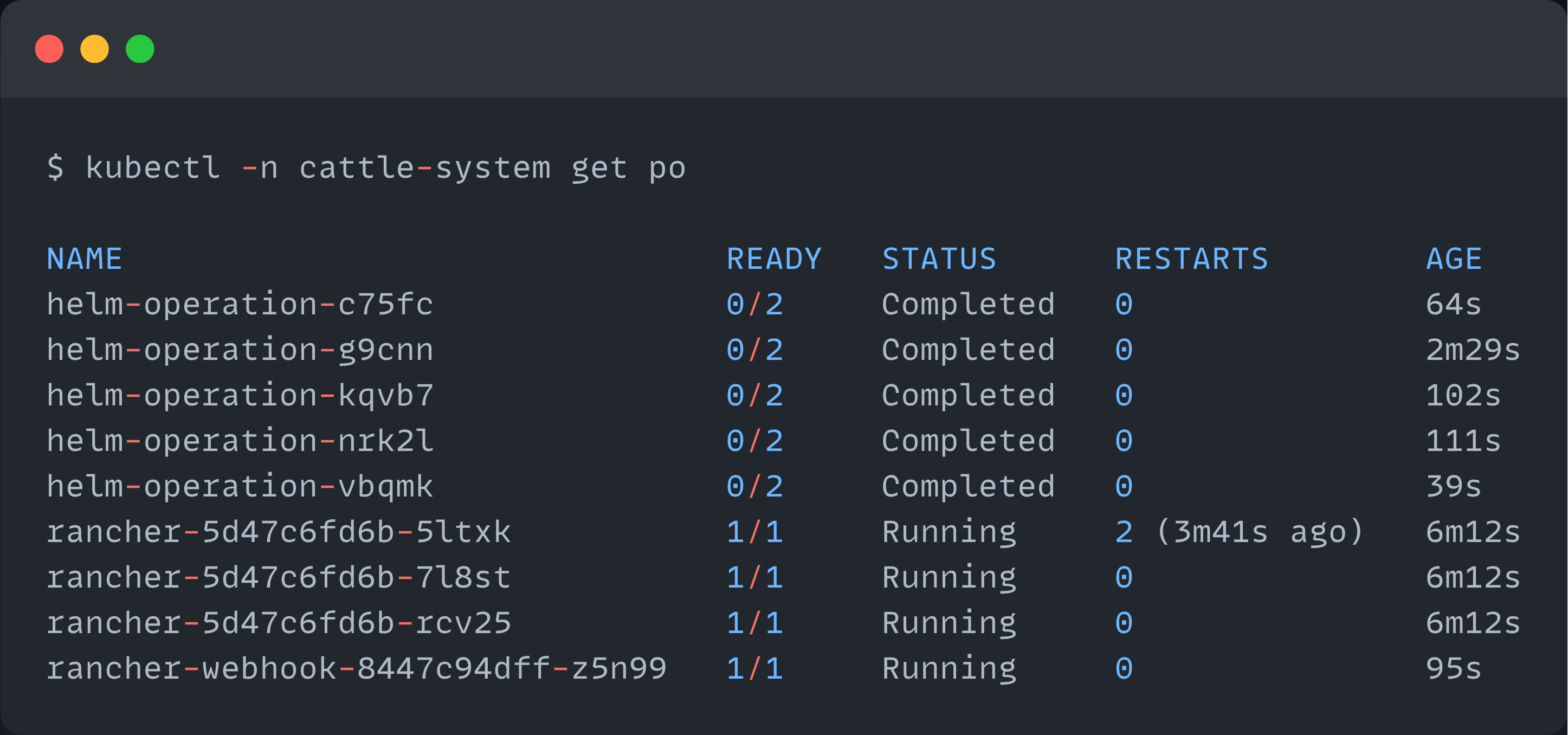 the list of pods from the rancher deployment