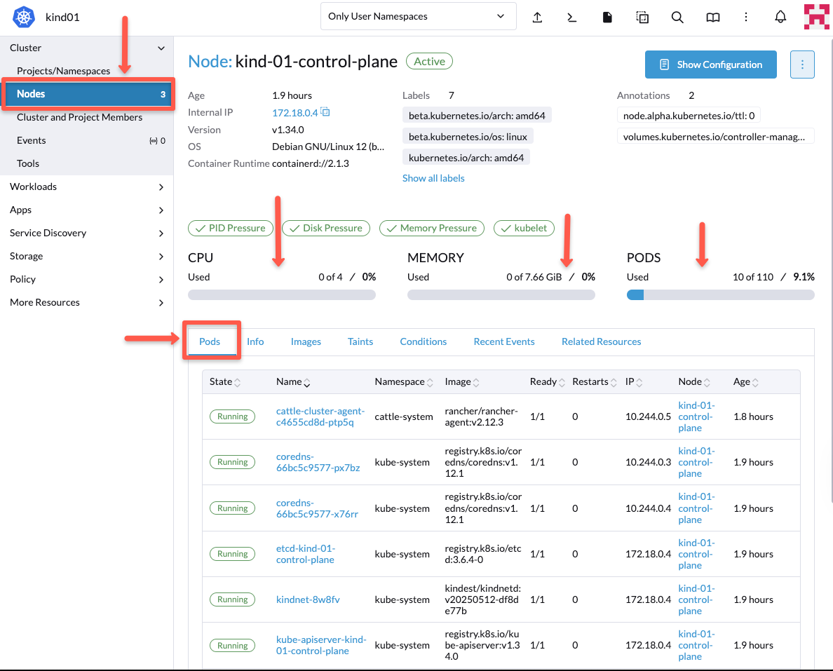 the detailed information of the control plane of the added cluster in rancher