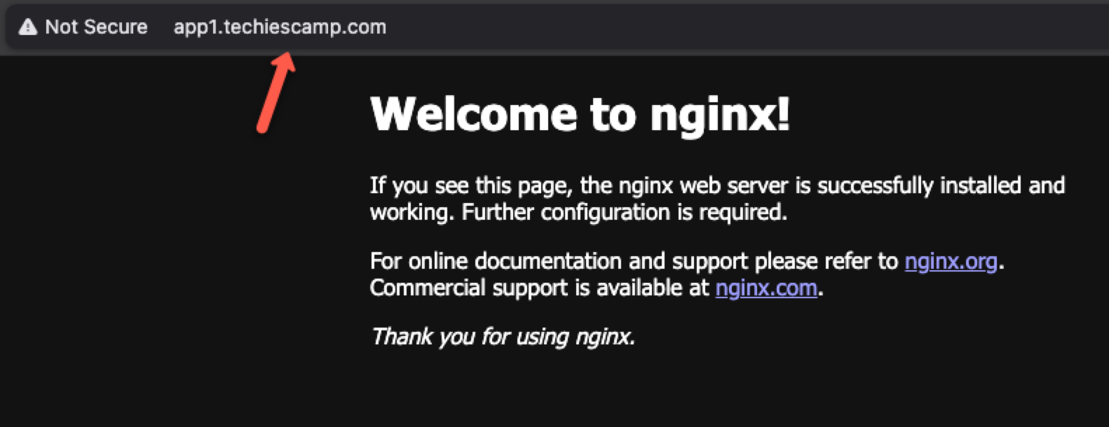 the demo nginx application output from the browser of the local machine.