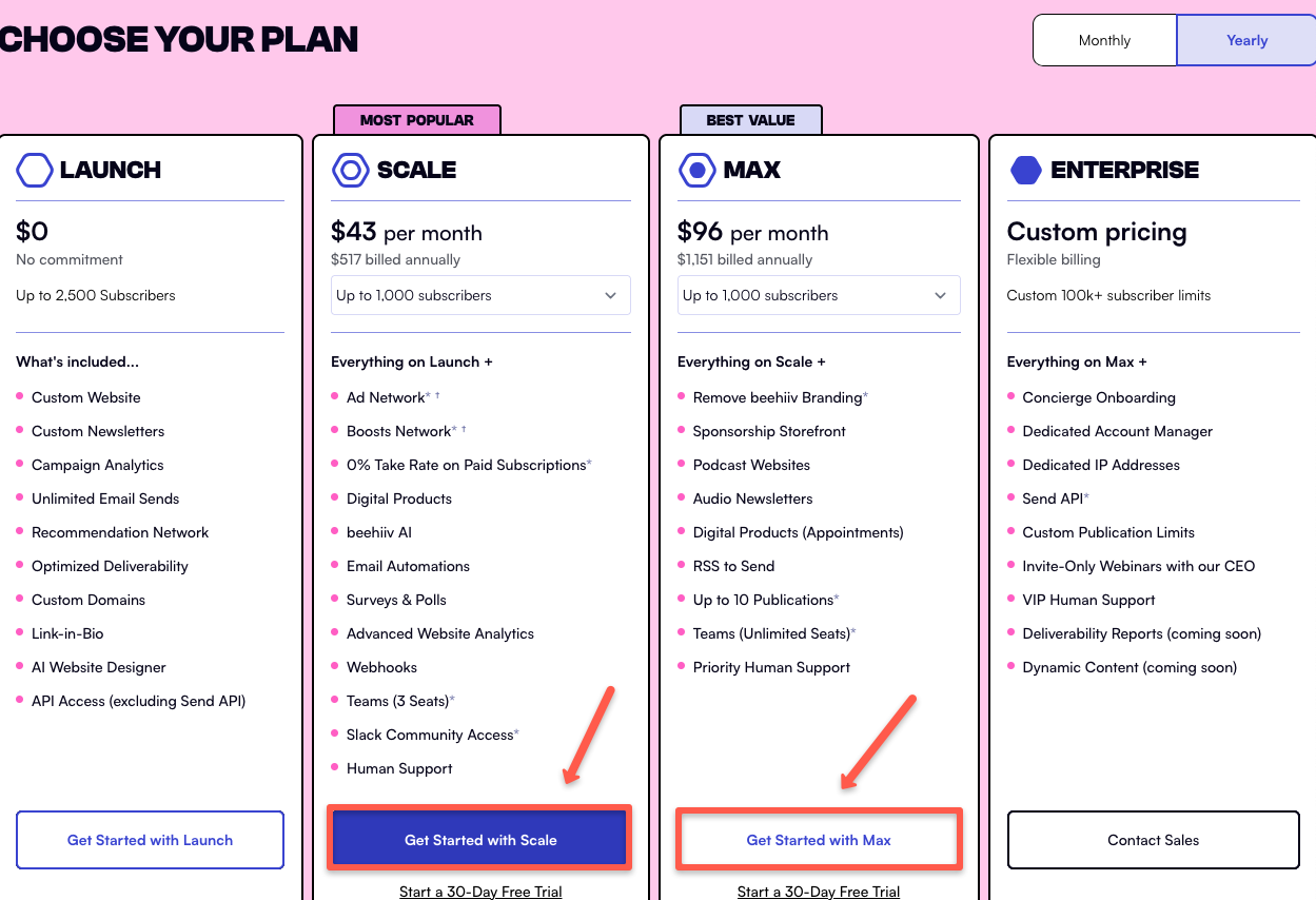 Choosing Beehivv plan
