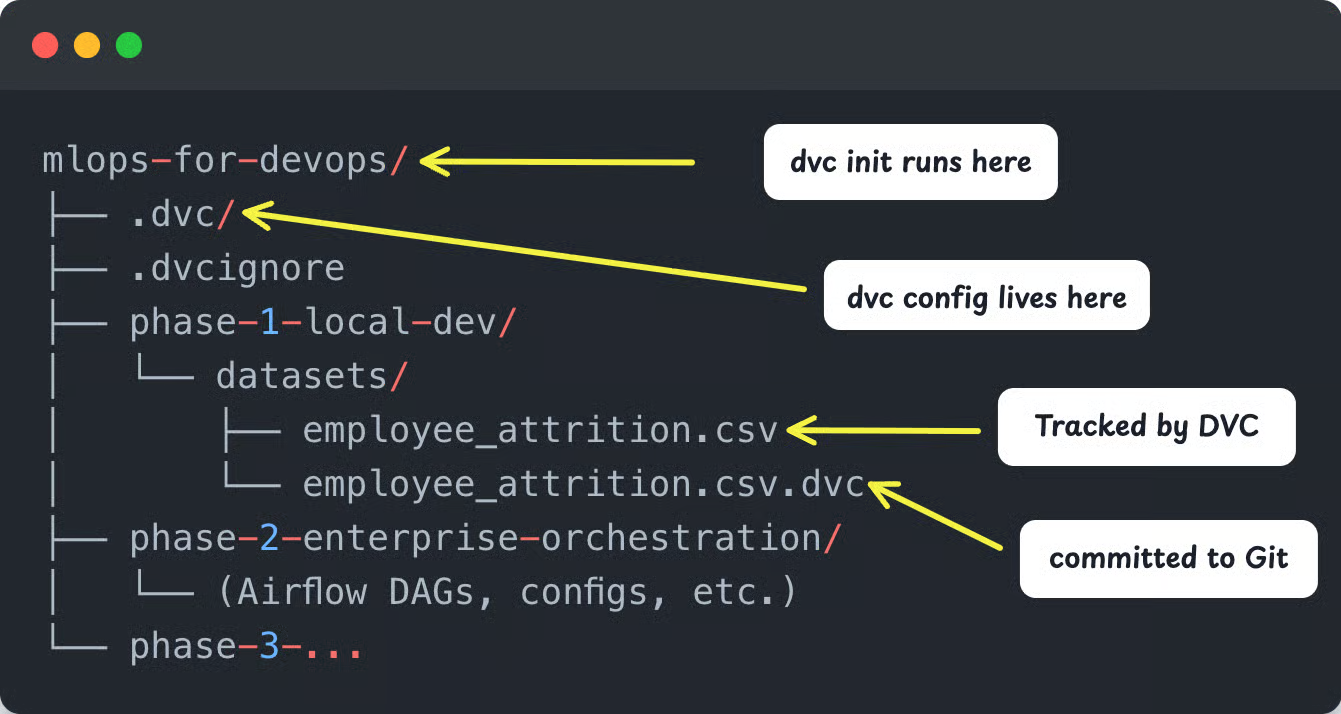 dvc directory stucture
