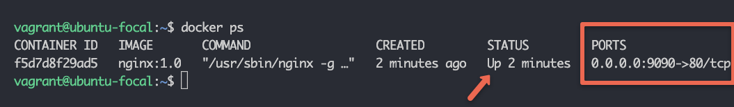 How to Build Docker Image [Comprehensive Beginners Guide]