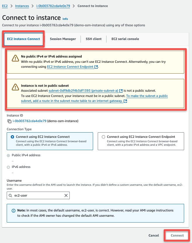 How To Access A Private EC2 Instance Using AWS SSM?