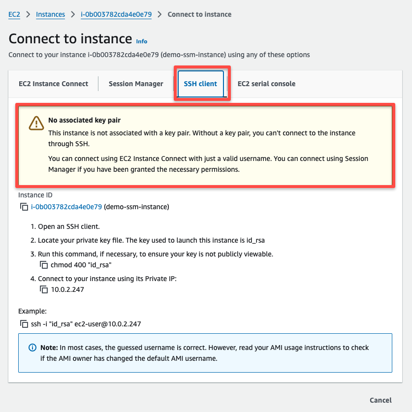 How To Access A Private EC2 Instance Using AWS SSM?