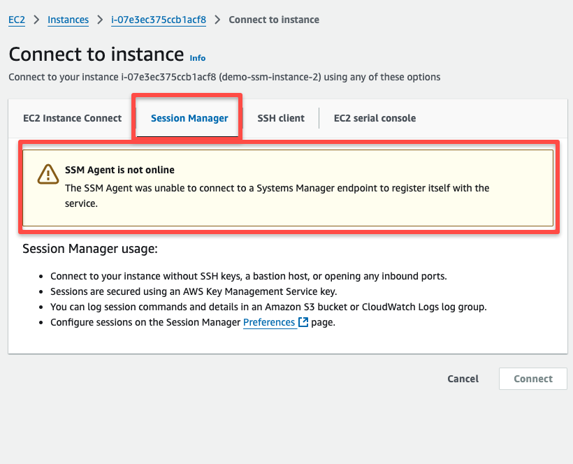 How To Access A Private EC2 Instance Using AWS SSM?