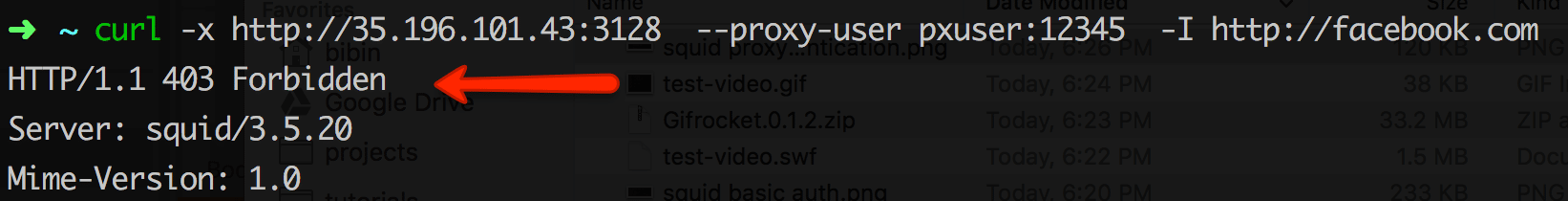 squid proxy blocked sites