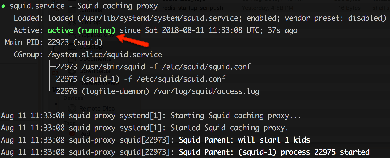 squid server status