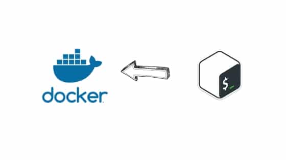 run-custom-scripts-in-docker-with-arguments-entrypoint-vs-cmd