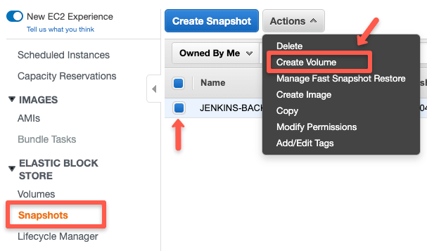 create volume from EBS snapshot.