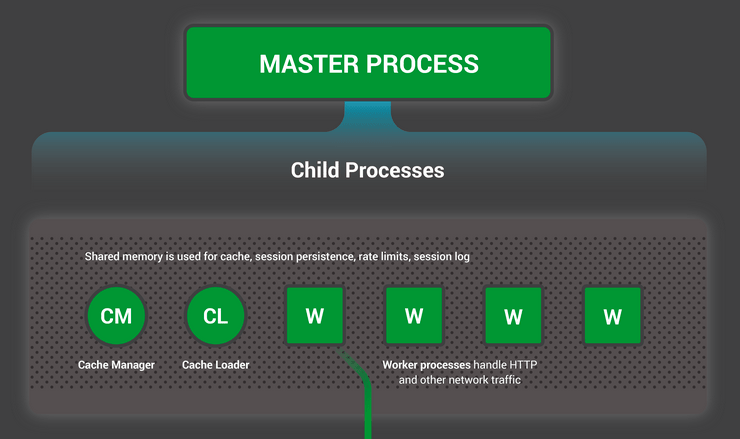 nginx child process min