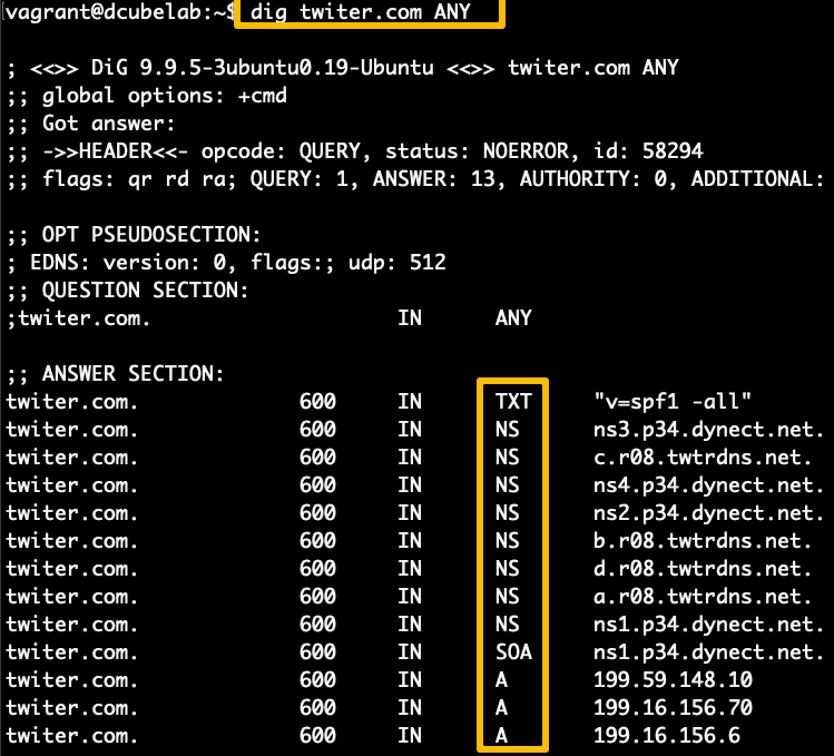 dig Command in Linux with Examples - GeeksforGeeks