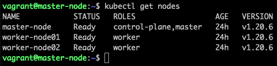kubeadm vagrant check nodes