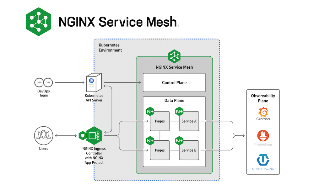 Nginx service mesh