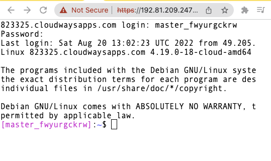 Cloudways browser based SSH terminal