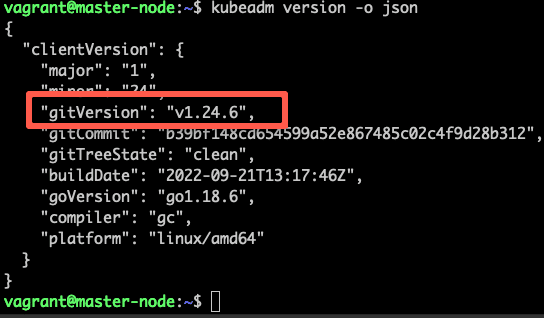 Kubeadm upgraded version  verification.