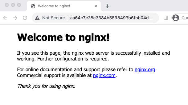 Accessing Nginx deployment over NLB URL