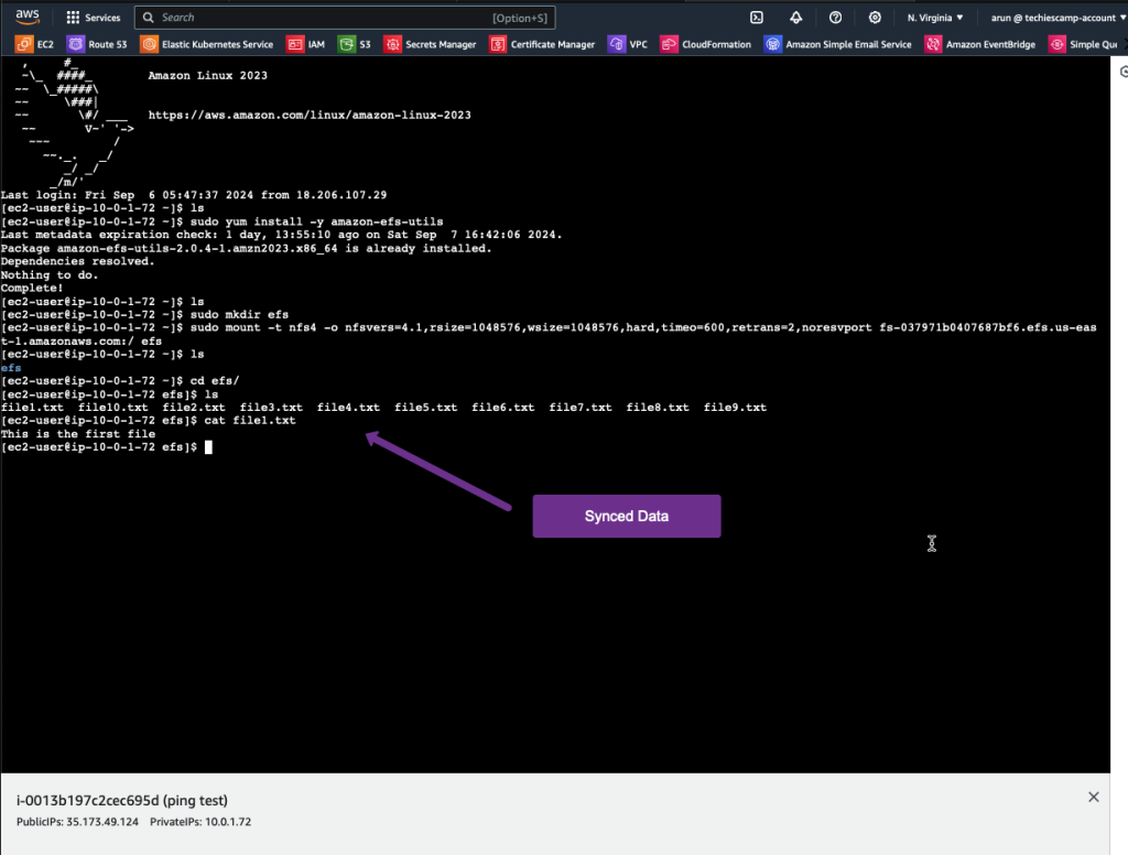 mount the destination efs to an ec2 instance and check the synced data from the source to the desination. 